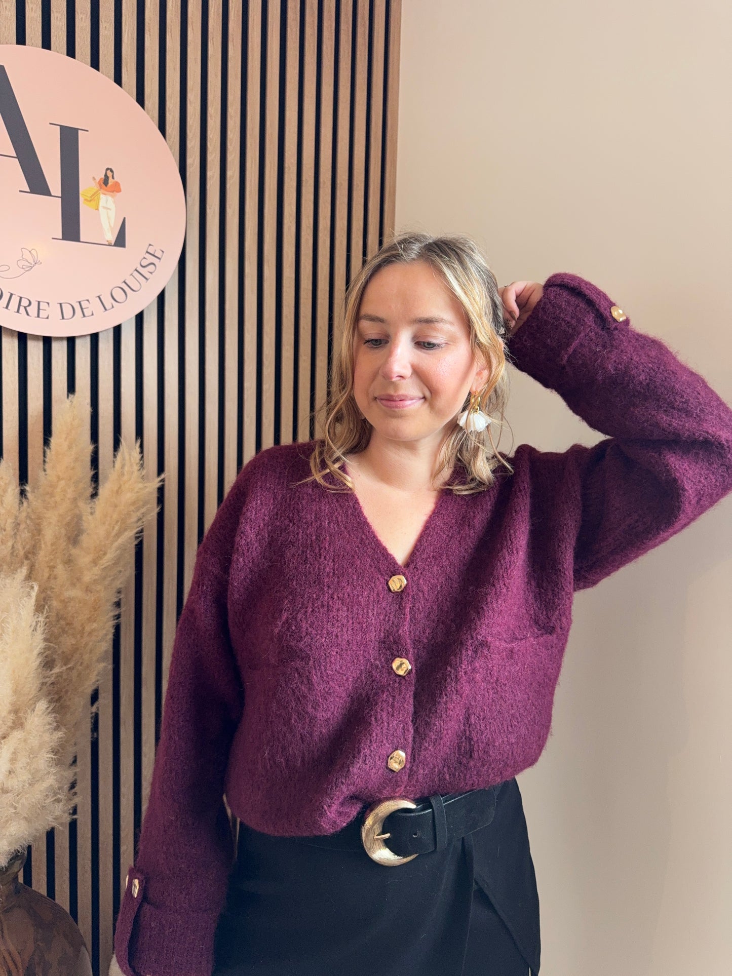 Pull/ Gilet Mona