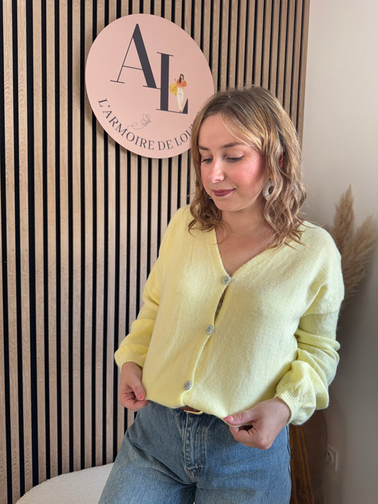 Gilet / Pull  Amalia Jaune