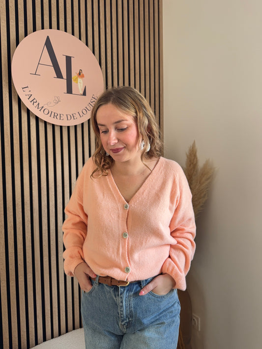Pull/Gilet Amalia saumon