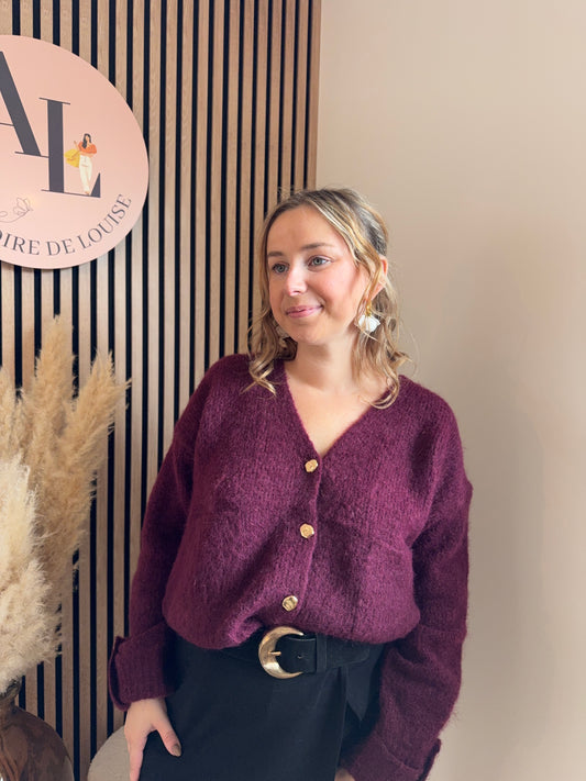 Pull/ Gilet Mona