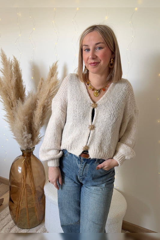 Gilet / Pull Soleil